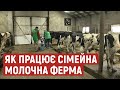 Село без пасовища: власники молочної ферми на Волині не мають де випасати корів