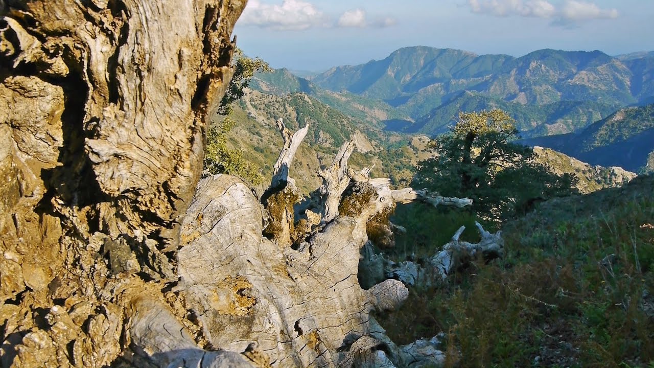 Escursioni Aspromonte