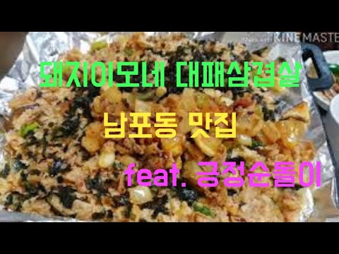돼지이모집