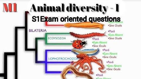 | Ku BSc Botany - Complementary Zoology  S1 Exam oriented questions |P1 |