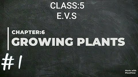 Class:5,Sub:E.V.S,Ch:6,Growing plants ##part:1##full explanation