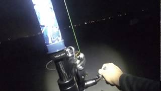Tanah Merah Coastal Beach - Marine Catfish (17/08/2019)