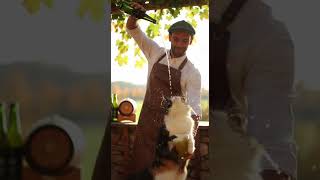 El gato y la sidriña - Sora 2 Pro - AI Assisted