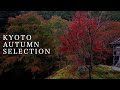 京都の紅葉と侘寂 : Autumn Leaves and Wabi-sabi Spots in Kyoto.