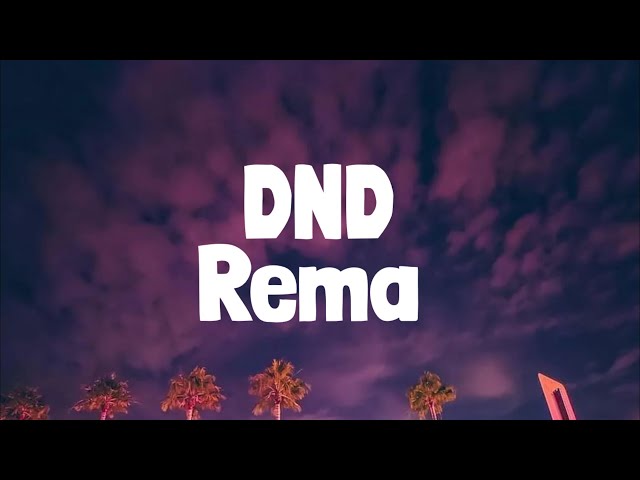 Rema - DND (Lyrics) class=