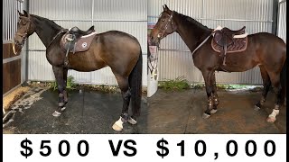 $500 VS $10,000 Tack Set Up!