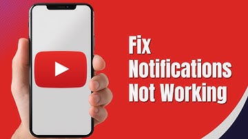 How to Fix YouTube Notifications Not Working(Easy Fix)