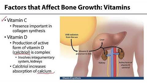 MSK Skeletal System Basics - Factors that Affect Bone Growth