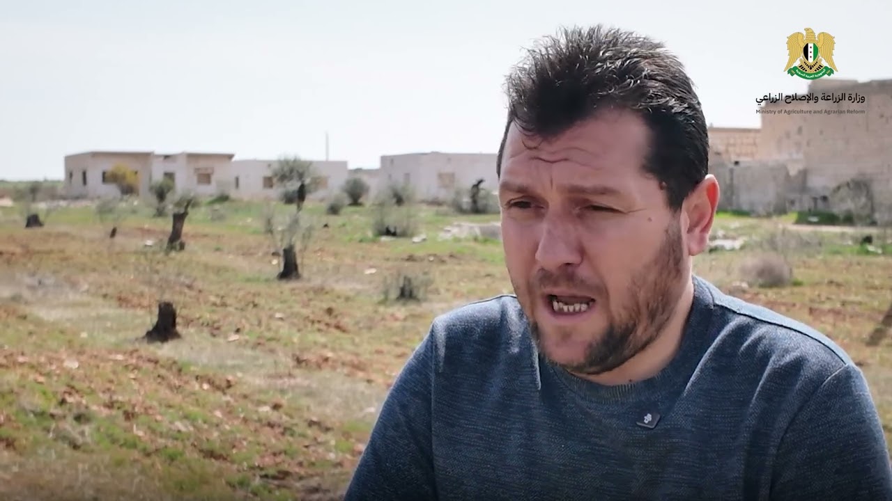 إدلب بلا زيتون وتين بعد تحريرها من العصابات، فهل تستعيد جزء من إسمها