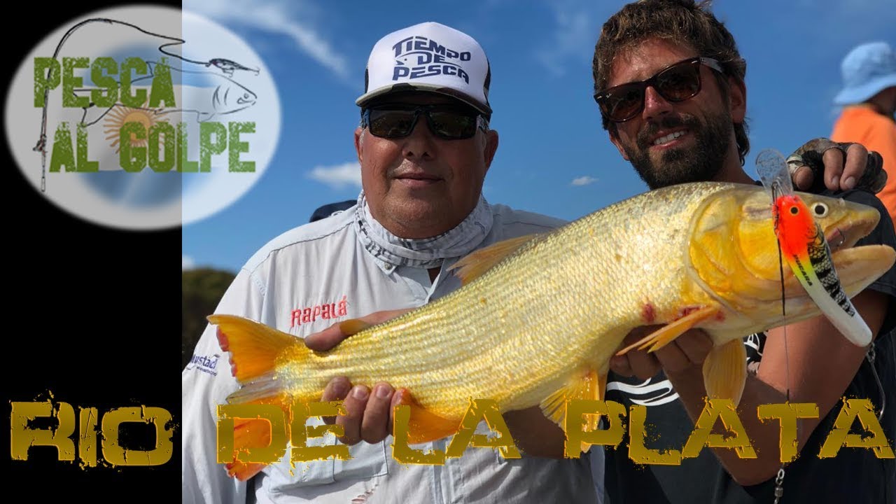 PESCA DE DORADOS CON SEÑUELOS - Pablo Juhal YouTube