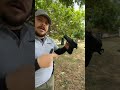 ZORAKI 2918-B | La seguimos probando | PISTOLA TRAUMATICA | P.A Gun Club