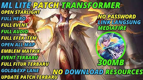 ml lite 300mb patch transformer