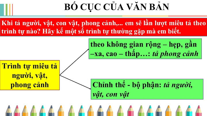 Ngữ văn 8 bài bố cục của văn bản năm 2024