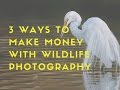 3 Ways to Make Money with Wildlife Photography Ep: 1