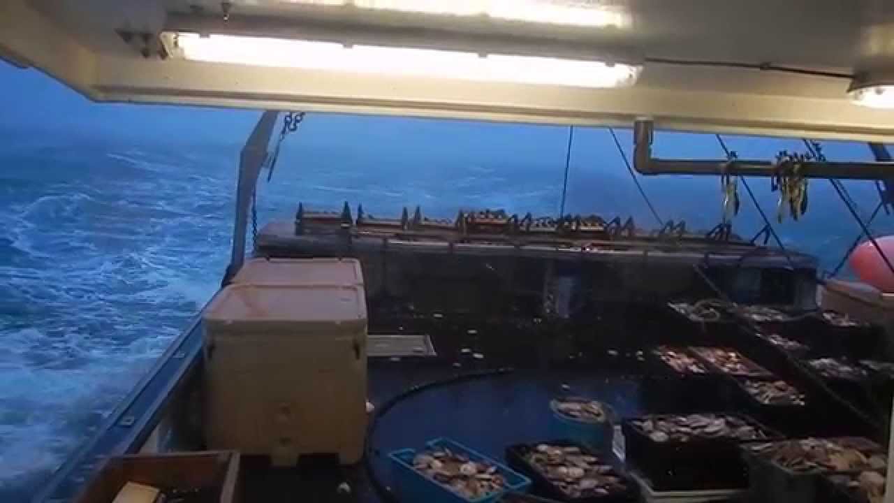 Scallop fishing Bay of fundy 2014 S.F.P YouTube