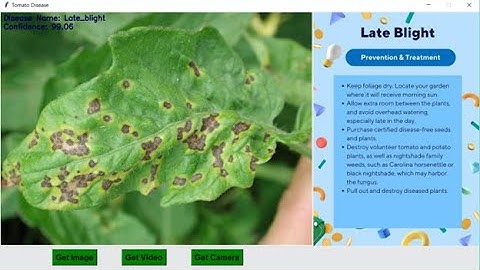 Tomato Plant Disease Detection and Classification Using CNN