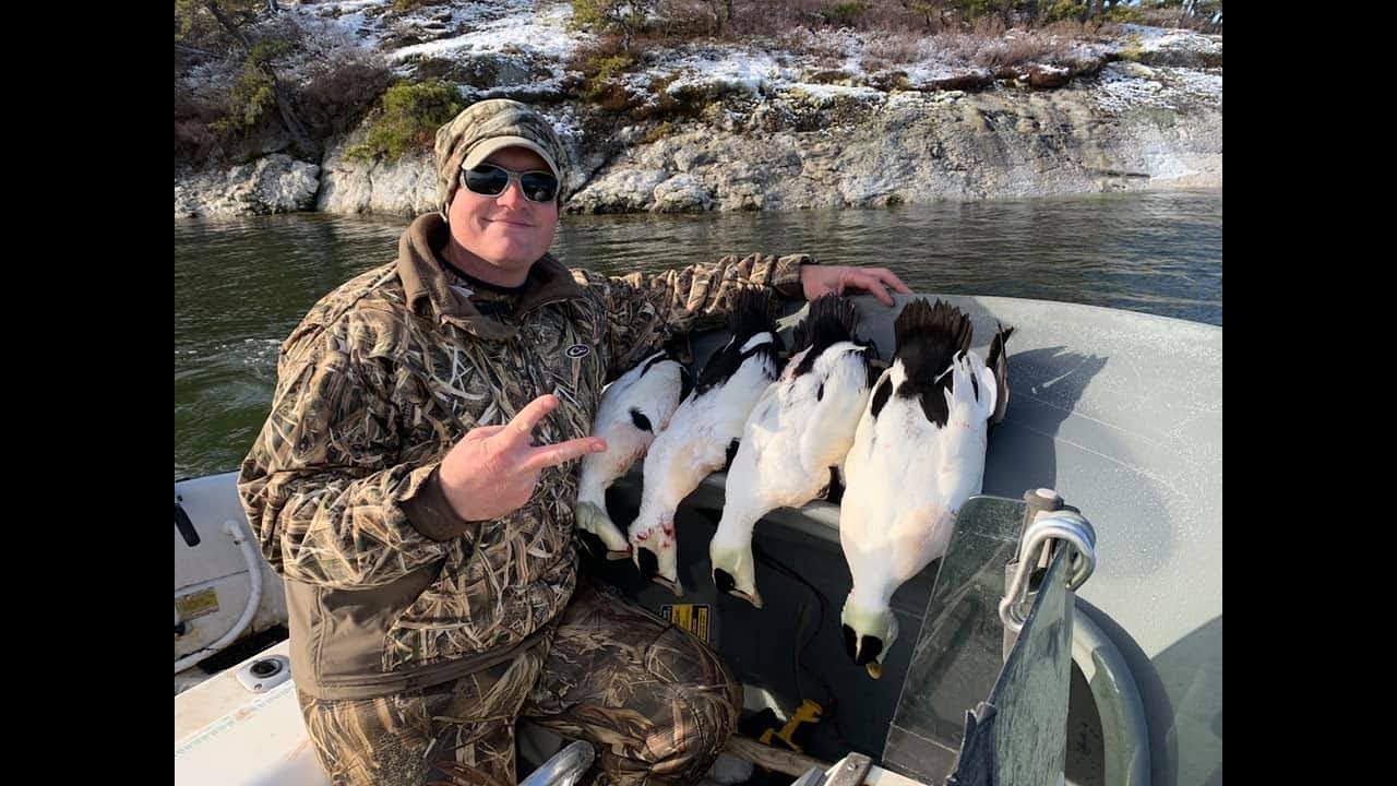 Maine Sea Duck Hunting Season maine-sea-duck-hunting-season