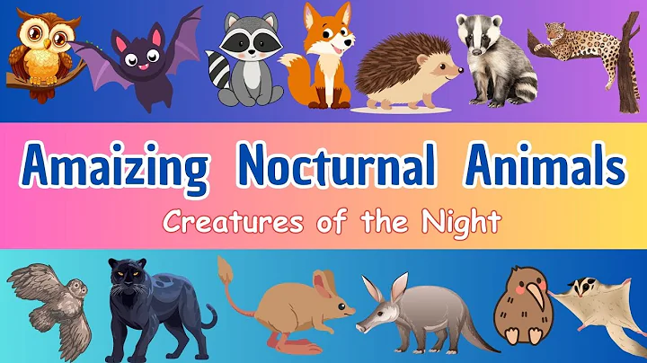 30 Nocturnal Animals for Kids | Fun Facts About Creatures of the Night | Tiny Tutors Learning thumbnail