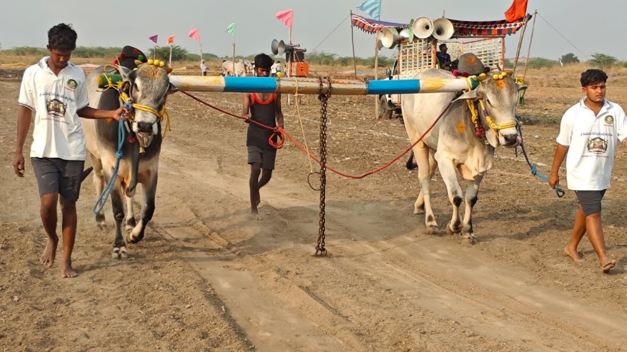 తలపనూరు 6పల్లలో,14వ జత,ఆరవేటి.కుమార్ గారు,తిమ్మంపల్లె