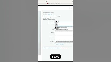 Add Alt Text to WordPress Images Fast