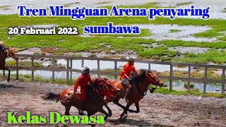 Traning Kelas Dewasapacuan Kuda Sumbawa