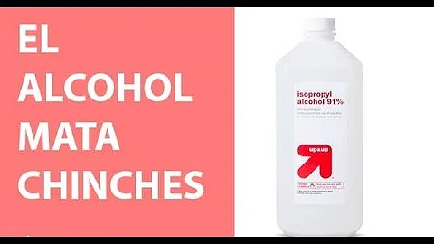 ¿Qué hace el alcohol de quemar con las chinches?