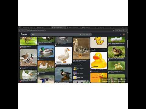 CS50W Project 0: Search