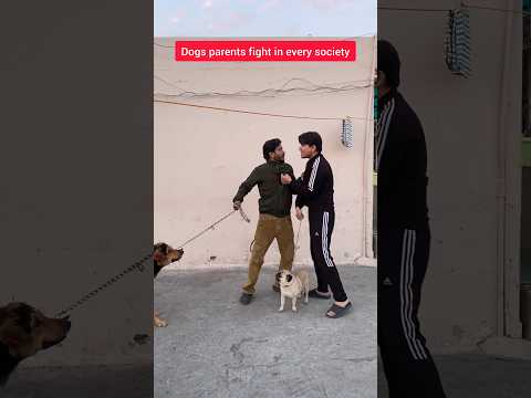 Dogs Fight Vs Men's fight #shorts #trending