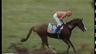 Horse Racing - 1986 - Breeders Cup Steeplechase - 1st Census + 2nd Kesslin + 3rd Pont D Loop