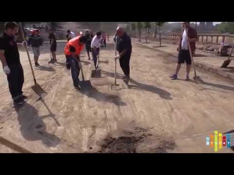 საქართველოს ტექნიკური უნივერსიტეტის სტუდენტები აქტიურად არიან ჩრთულნი გაწმენდით სამუშაოებში