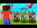 ADIVINA el ESCONDITE del VERDADERO TROLERO en MINECRAFT 🤣😱 MINECRAFT ALEATORIO