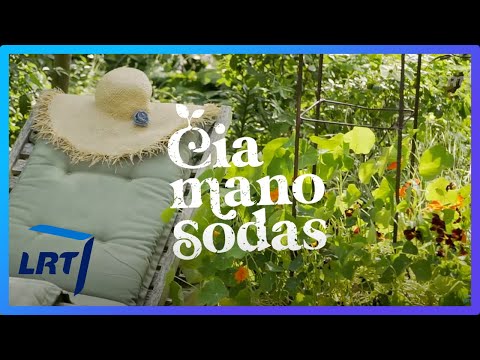 Video: Namuose auginamas miniatiūrinis sodas