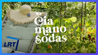 Čia mano sodas. Akmenų komponavimo patarimai, populiariausi varpiniai augalai ir prieskonių daržas a