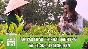 Lạc vào xứ sở “đệ nhất danh trà” Tân Cương, Thái Nguyên | Sống ở làng | VTC16