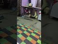 #viral #shortvideo #trendingshorts#shortvideo #youtubeshorts#cat #viral#famous #shortvideo#trending