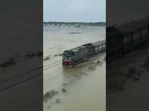 Video Viral Train