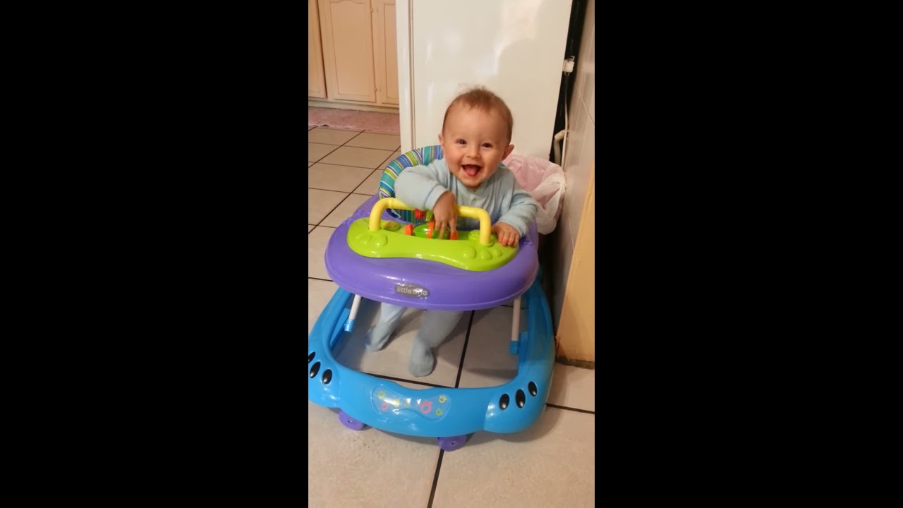 Baby first time in walking ring YouTube
