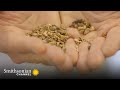 Barilla Factory Operations and Metrics