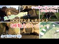 【テントレビュー】必見！DODワンタッチテント5種類　比較・レビュー