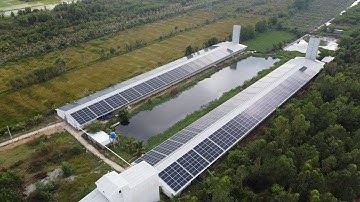 Tiger Pro Modules Become the First Choice for the Distribution and Rooftop Market in Vietnam