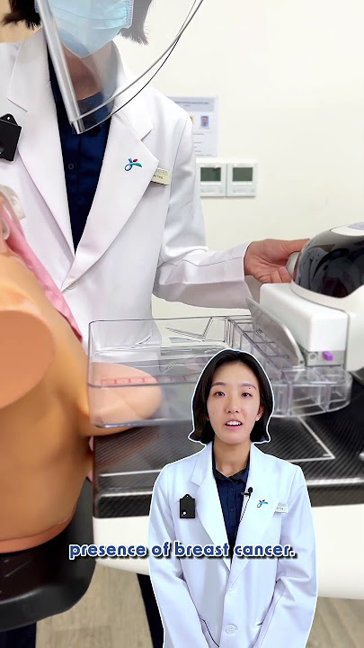 🩻 What happens during a mammogram?