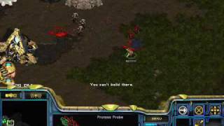 Starcraft FPVOD Python[1] PvZ 1v1 part 1