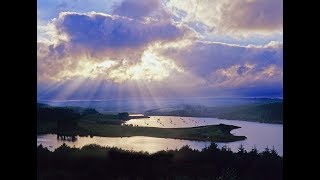 Global Oligarchy Eco-Warriors