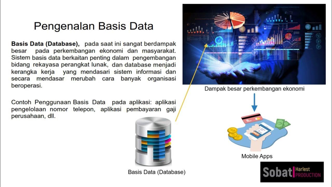 P database. Графические базы данных. P database. Postgresql схема таблиц. Окружение системы базы данных.