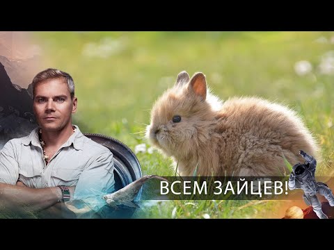 Всем зайцев! | НИИ РЕН ТВ. (08.04.2021).