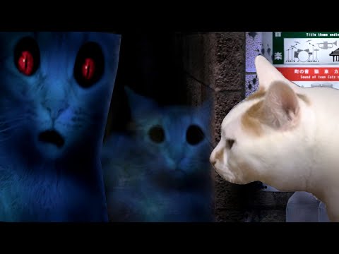 Tsugu No Hi / Neko - "Hopefully Nothing Happens to the Cat" ( Cat Horror Game )