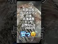 北海道産ホッケの干物【近所の酒屋で月一特価】　#short  #ほっけ　#干物