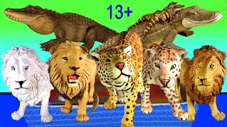 Big Cat Week 2020 - Lion, Jaguar, Alligator, White Lion, Saiga