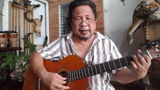 Ebb Tide cover guitar