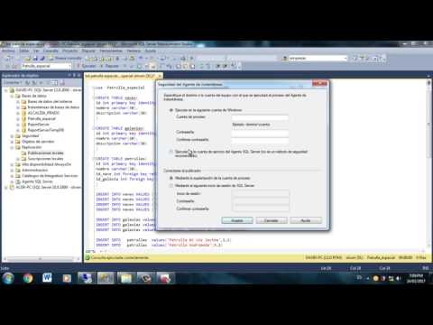 Uso Del Operador != Y NOT En SQL | MySQL YA